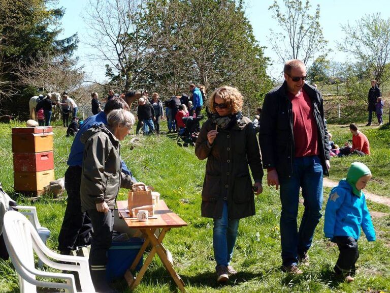 Skovens Dag ved Naturværket i Hinnerup den 7. maj kl. 10:00 – 15:00