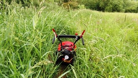 Bjarnebanden for sidste gang i år