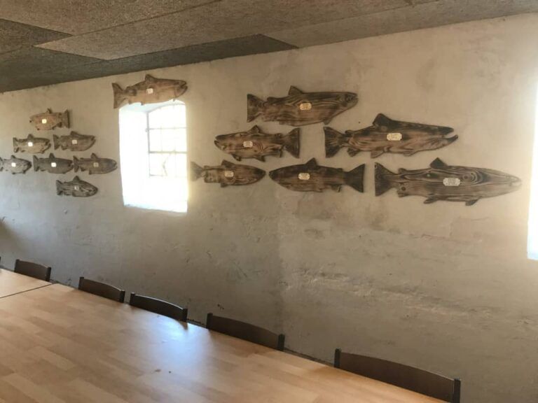 Wall of Fame