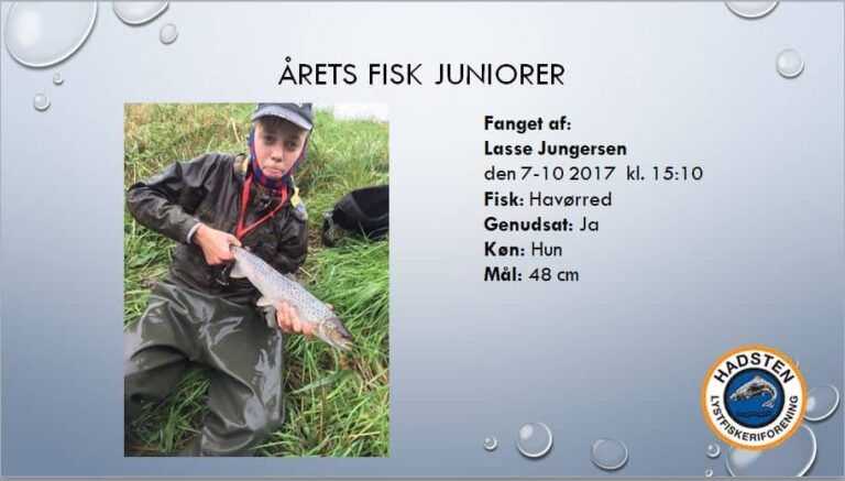Årets Fiskere