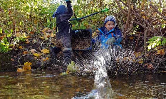 Gydebanker i Rønbækken strækning 2