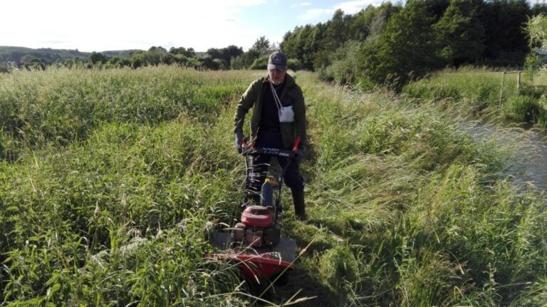 Status STISLÅNING og fremad.