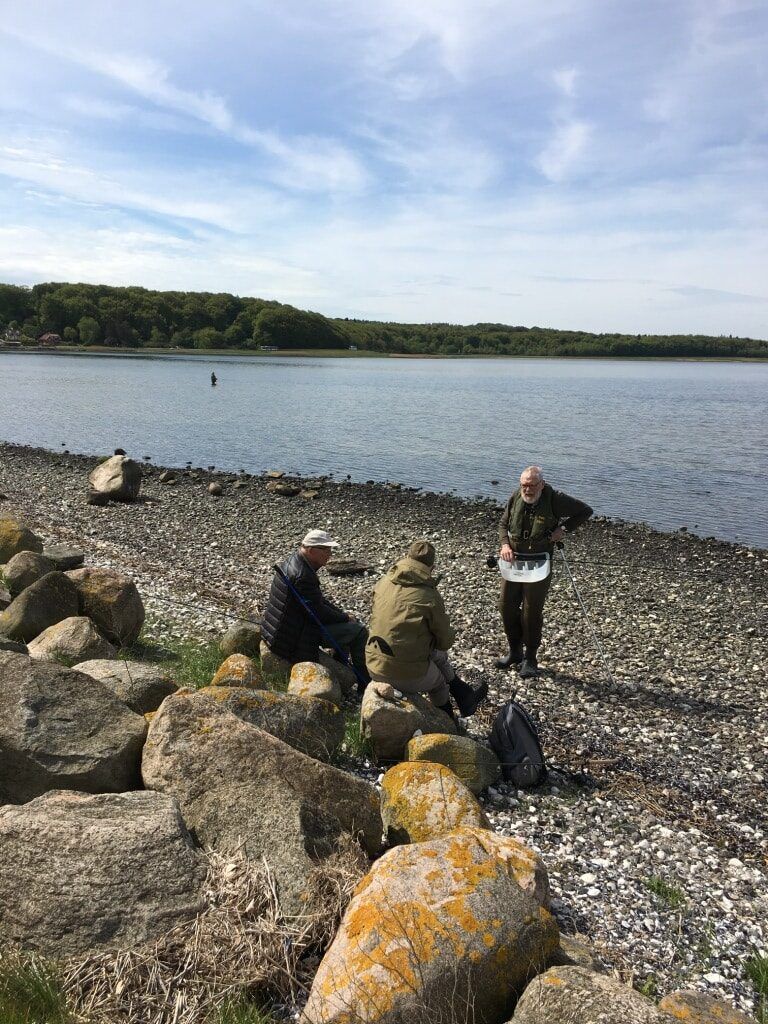 Seniortur Mariager Fjord