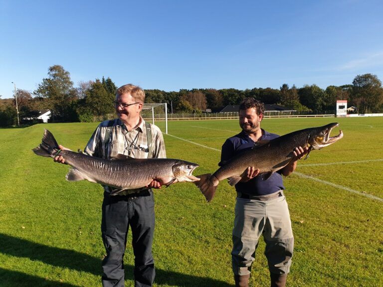 Gudenåkonkurrencen 2019 resultatliste