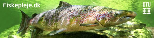 Nyhedsbrev fra DTU-Aqua