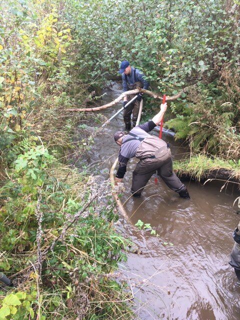 Gydebanker i Haldum bæk 13 oktober 2019
