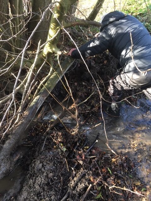 Slip Lerbjerg bækken fri !