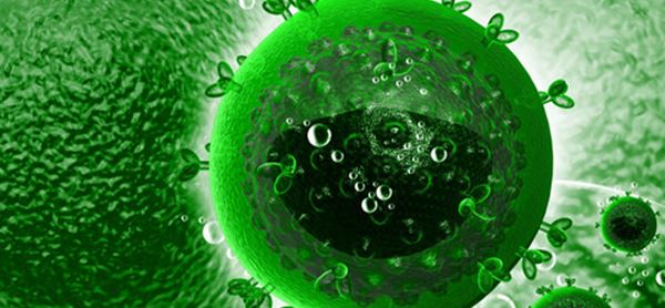 Corona restriktioner og HLF