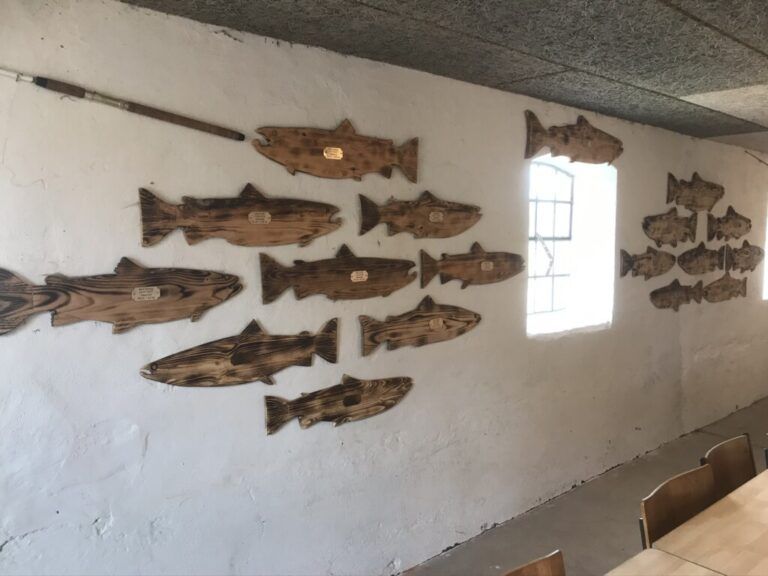 Wall of Fame