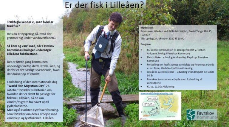Er der fisk i Lilleåen 24. oktober kl. 10