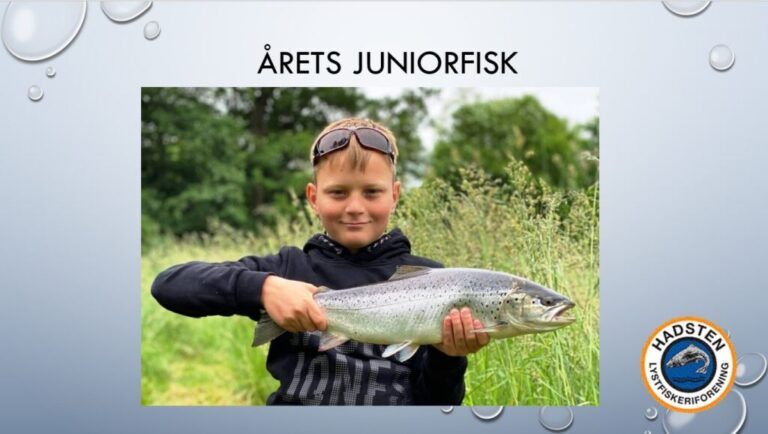Årets fiskere i 2020