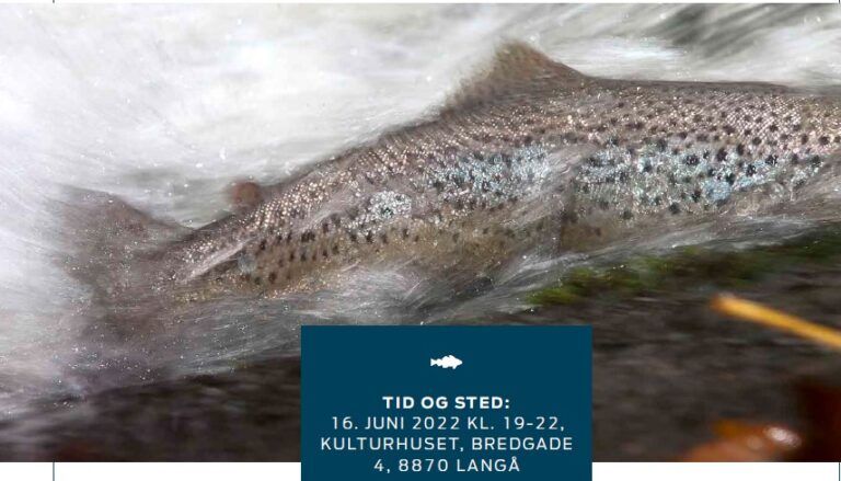 Velkommen til “HAVØRREDEN TILBAGE TIL GUDENÅEN”