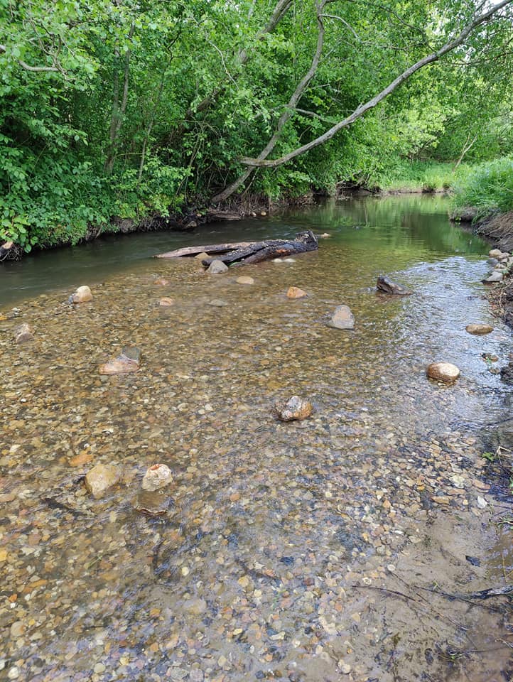 Hjælp til optælling af gydebanker