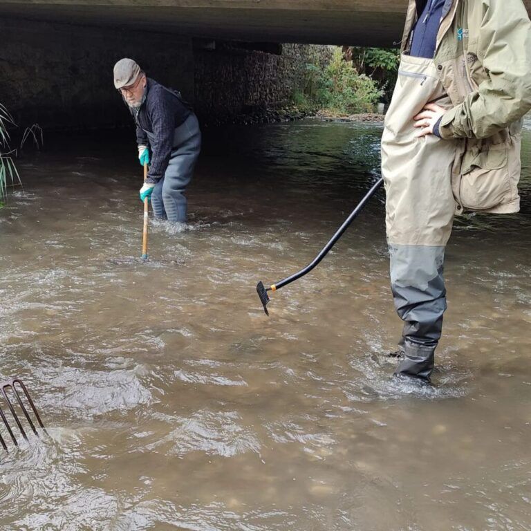 Vandplejen lavede 2 mindre Gydebanker