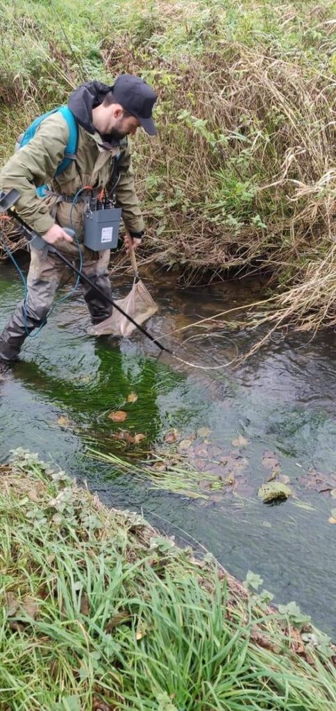 Hjælp til elfiskeri søges
