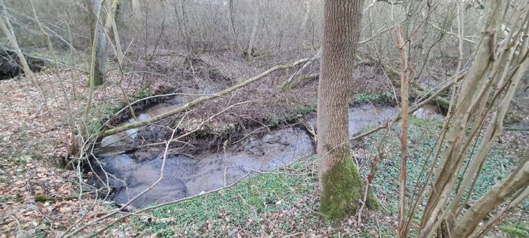 Vandpleje i Lilleåen og tilløb