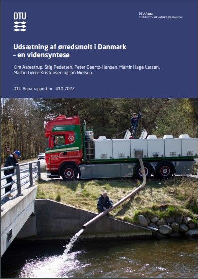 Her er DTUs rapport “Udsætning af ørredsmolt i Danmark”