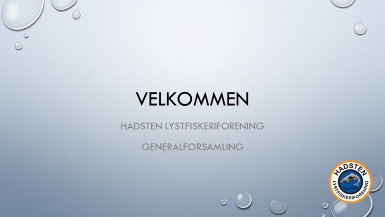 Formandens beretning for 2022