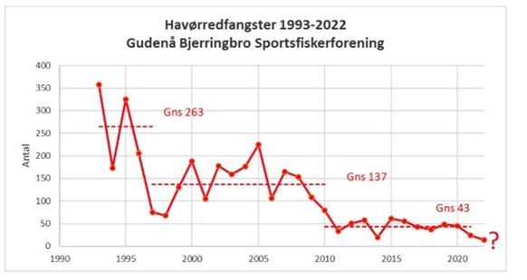 Havørreden tilbage til Gudenåen