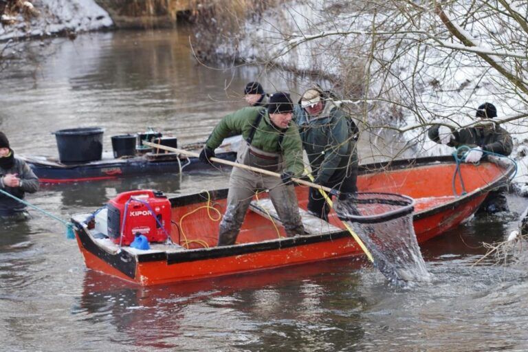Sådan gik elfiskeriet 2023