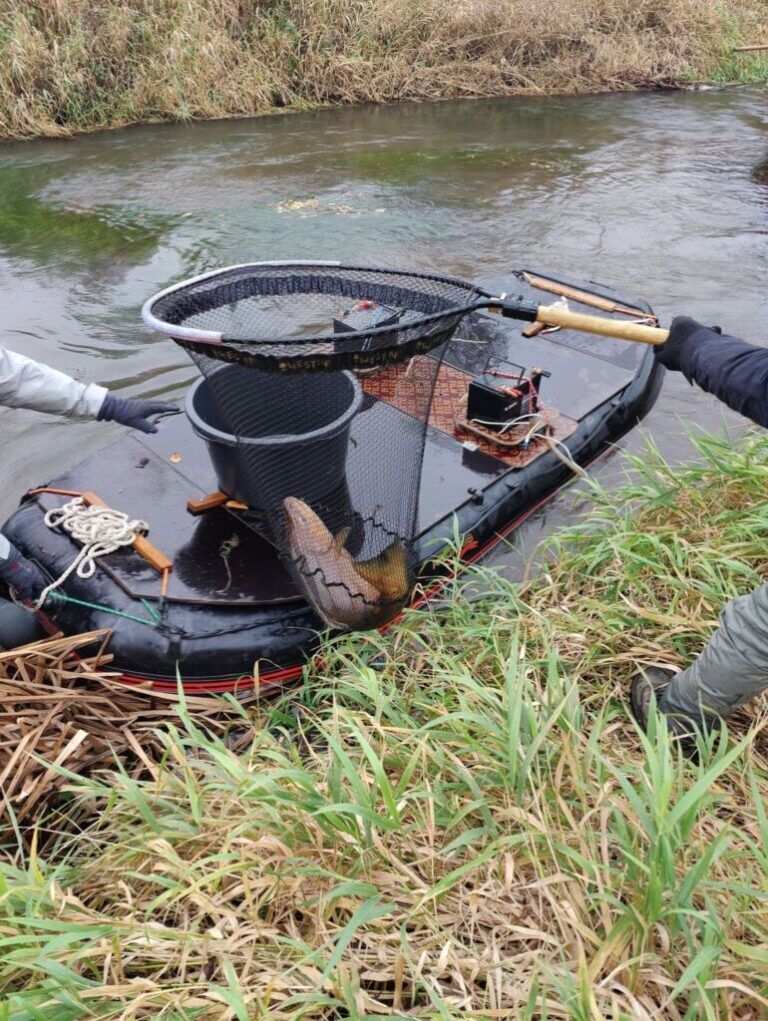 Elfiskeri i Lilleåen