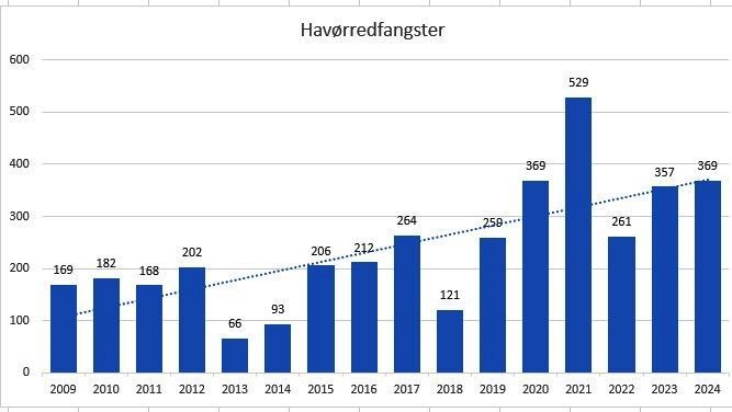 Sådan var fiskeriet i 2024