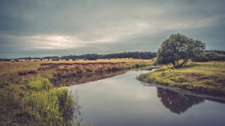 Temadagen “Grøn Trepart og Styrket Lokalt Samarbejde” 1. februar 2025