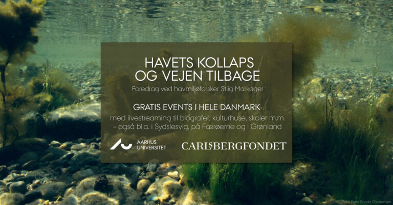 Havets kollaps og vejen tilbage 7. oktober