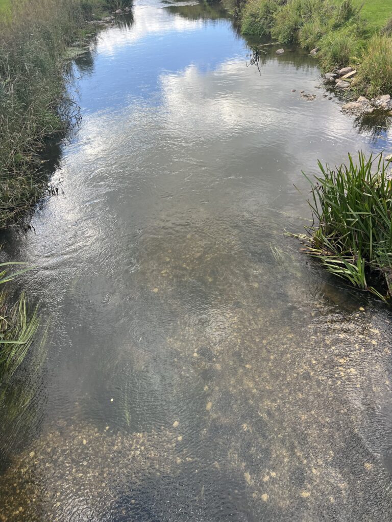 Ny gydebanke i Parken i Hadsten