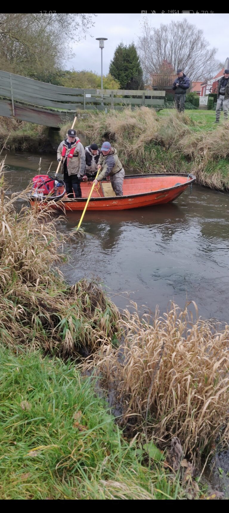 Årets elfiskeri efter moderfisk