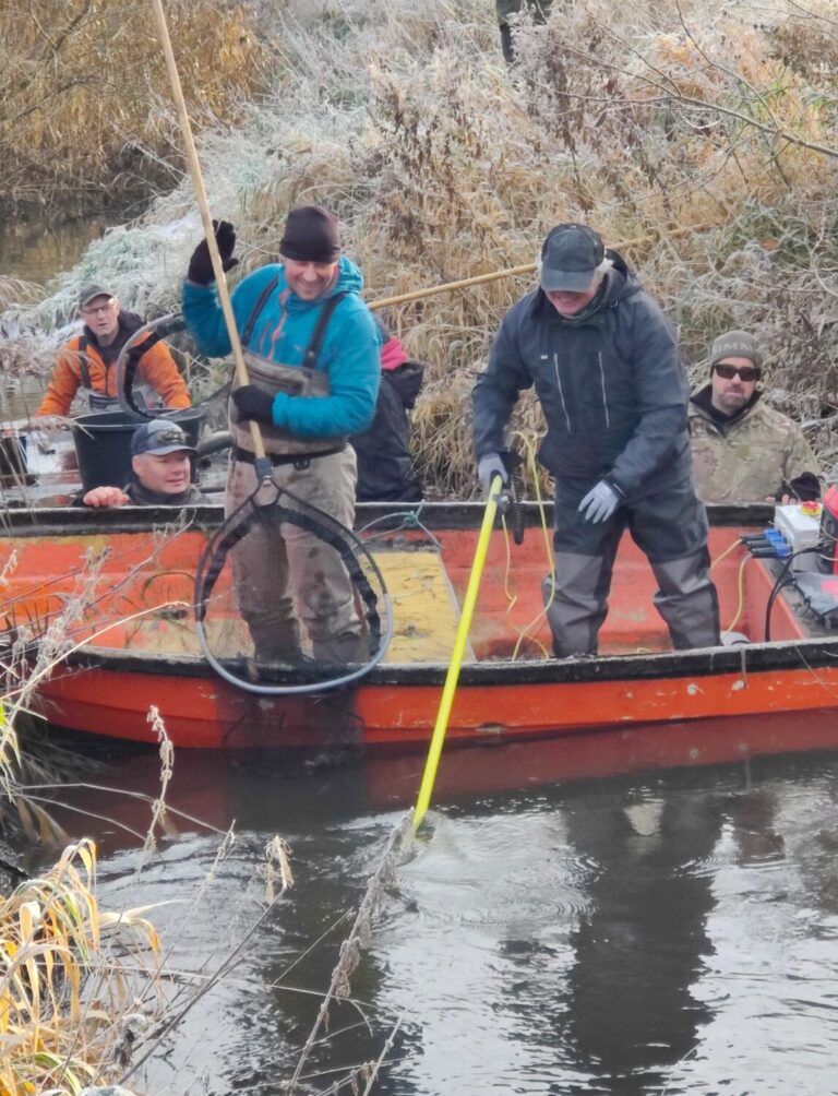 Elfiskeri i Lilleåen 2025