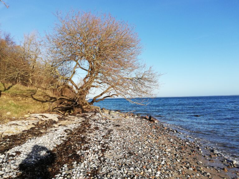 Kysttur til Esby Strand